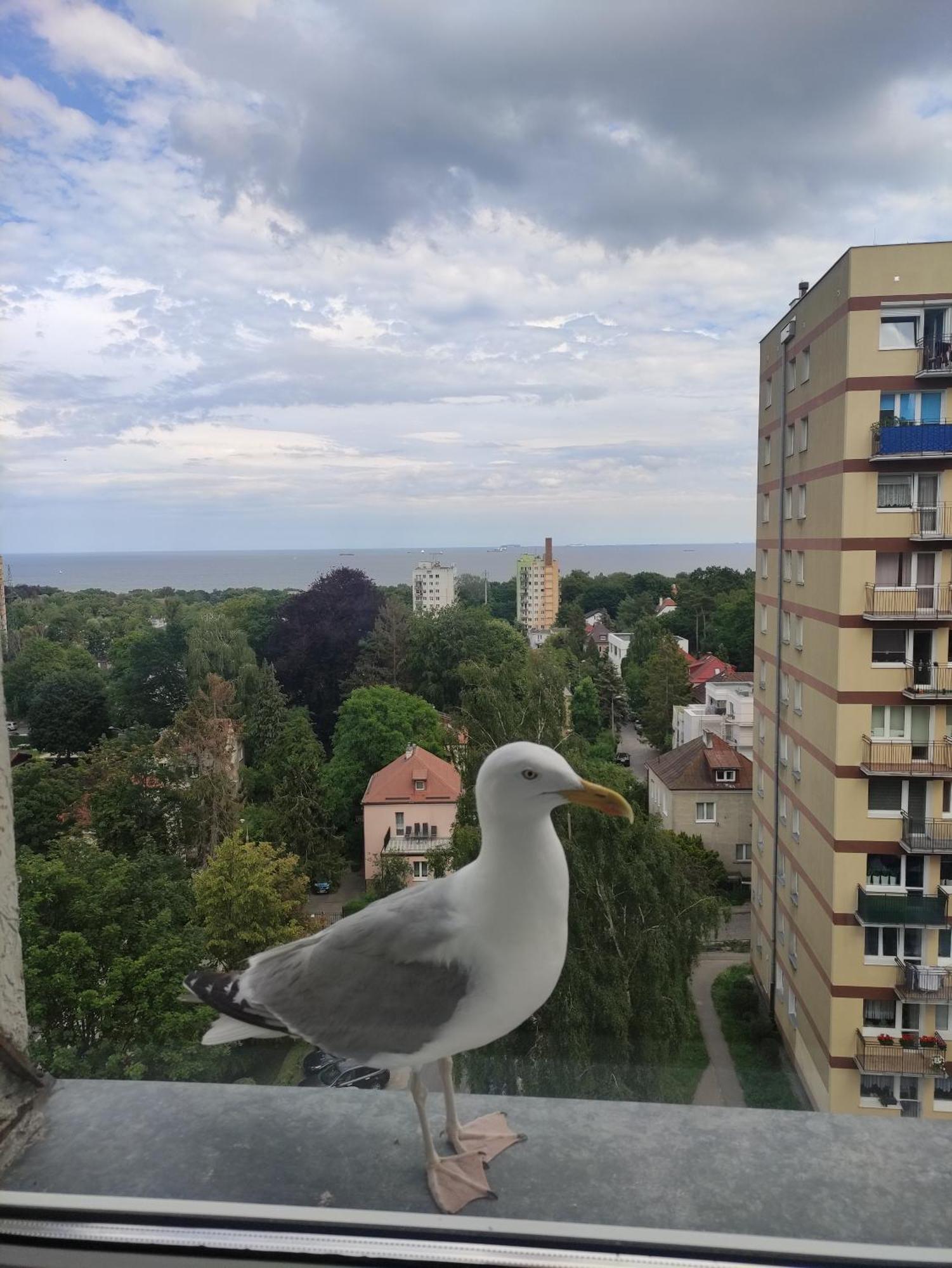 Apartament Widokowo Apartment Sopot Exterior photo